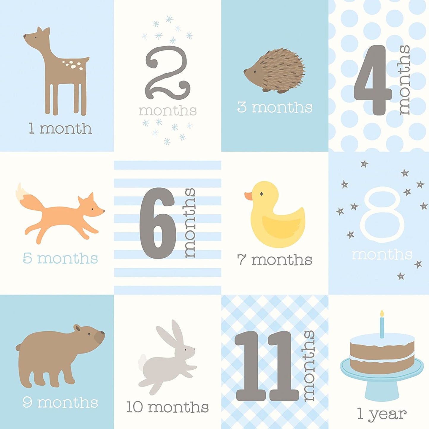 Baby Boy Months 12x12 Scrapbook Paper - 4 Sheets