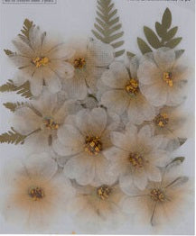 Bees Knees Pressed Flowers Embellishments