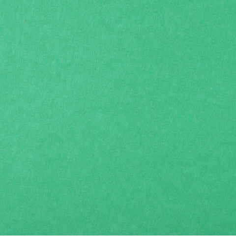 Primary Green Cardstock by Coredinations