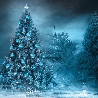 Blue Christmas Tree Scrapbook Paper by Ella & Viv
