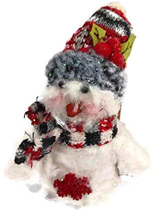 Red Holly Snowman with Stocking Cap