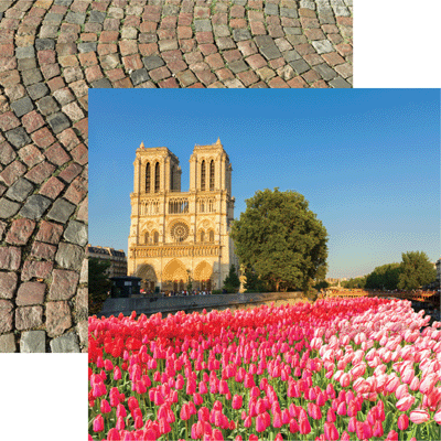 Notre Dame France Scrapbook Paper by Reminisce