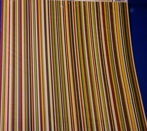 Reminisce Making the Grade Teen Stripes Scrapbook Paper