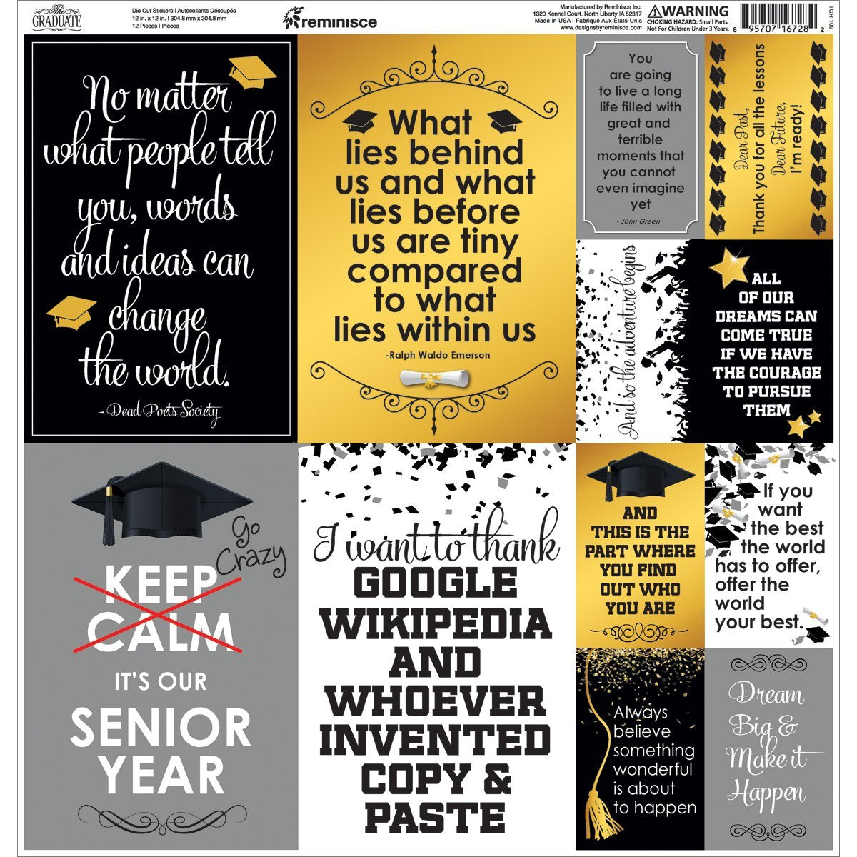 The Graduate Cardstock Poster Stickers, 12