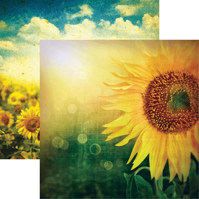 Reminisce Vintage Day Vintage Sunflower Paper