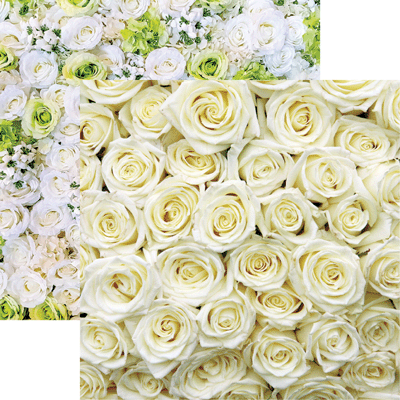 Made with Love White Roses Scrapbook Paper by Reminisce