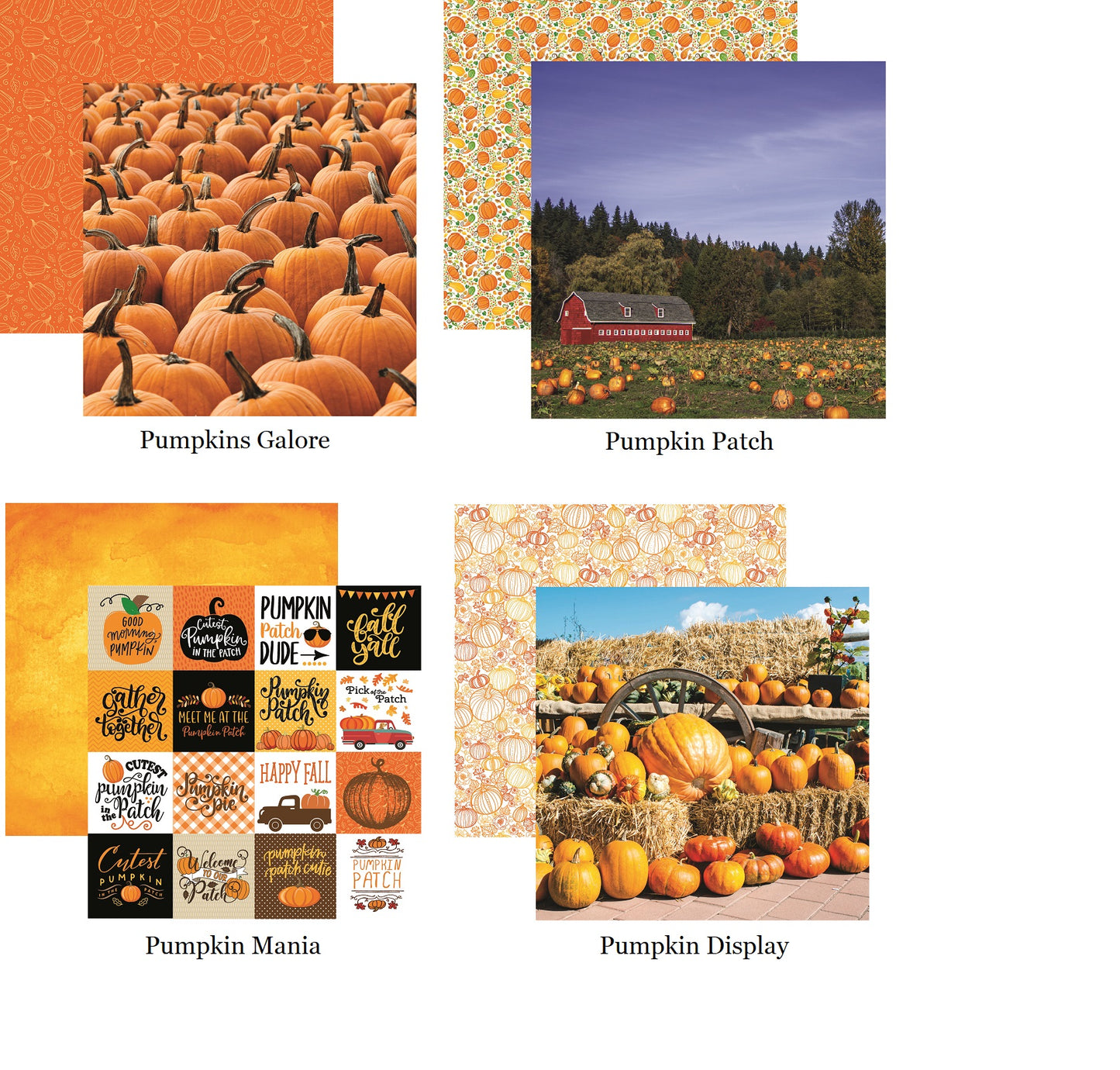 Pumpkin Patch 12x12 Scrapbook Papers Set - 4 Sheets