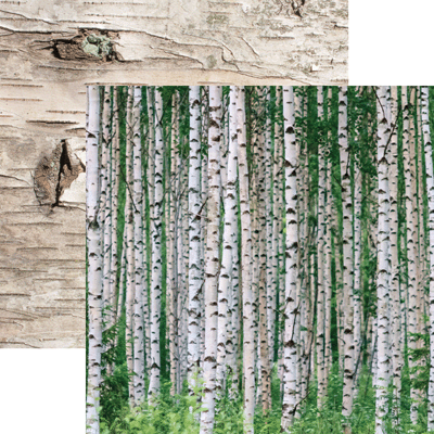 Reminisce Scandinavian Birch Woods Paper