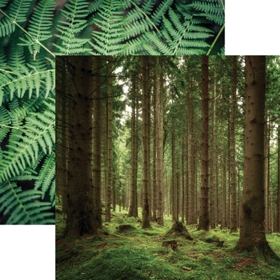 lush nature Scandinavian Woods Paper by Reminisce