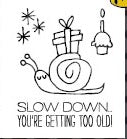 Slow Down You're Getting Old Clear Stamp - by Studio G Watch Me Series